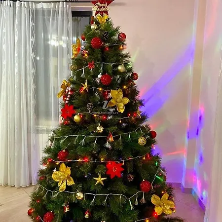 Casa Bucovineana ゲストハウス